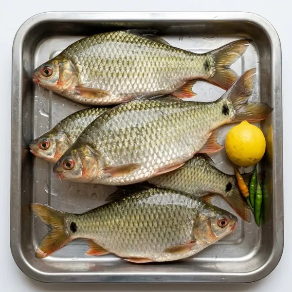 Fresh whole Big Puti Sarputi deshi fish per kg wholesale UK