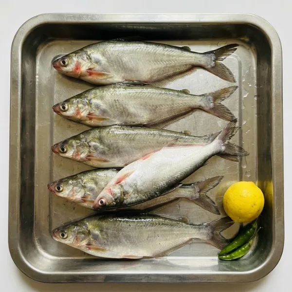 Frozen deshi Bacha river fish 400g blocks 2 packs deal London
