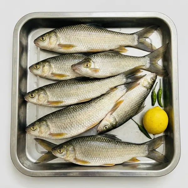 Frozen deshi Bata freshwater carp fish 400g block wholesale