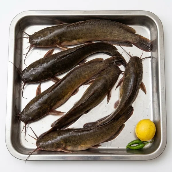 Frozen deshi Magur walking catfish 400g block UK