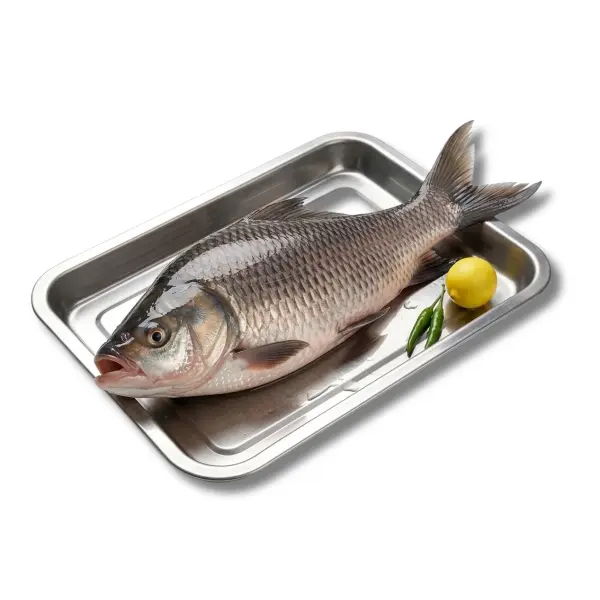 Fresh Katla fish per kg wholesale London delivery