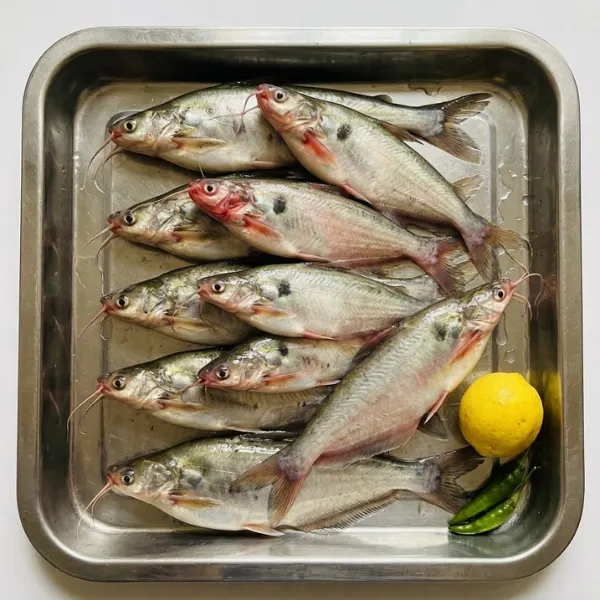 Frozen Pabda fish 400g blocks 3 packs multi-buy offer UK
